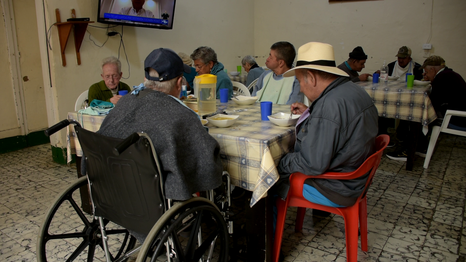 Alimentacion